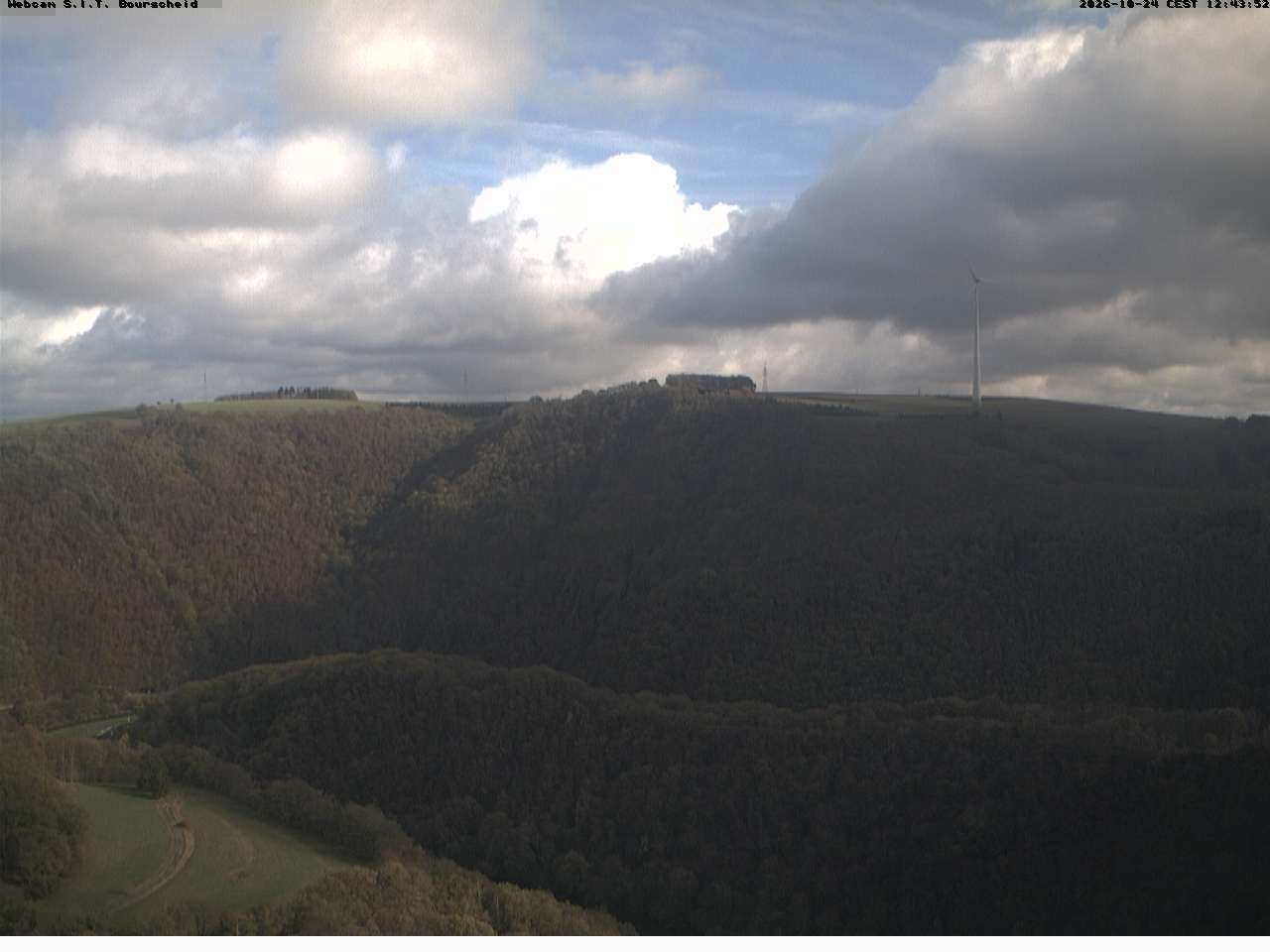 Camera Live Image