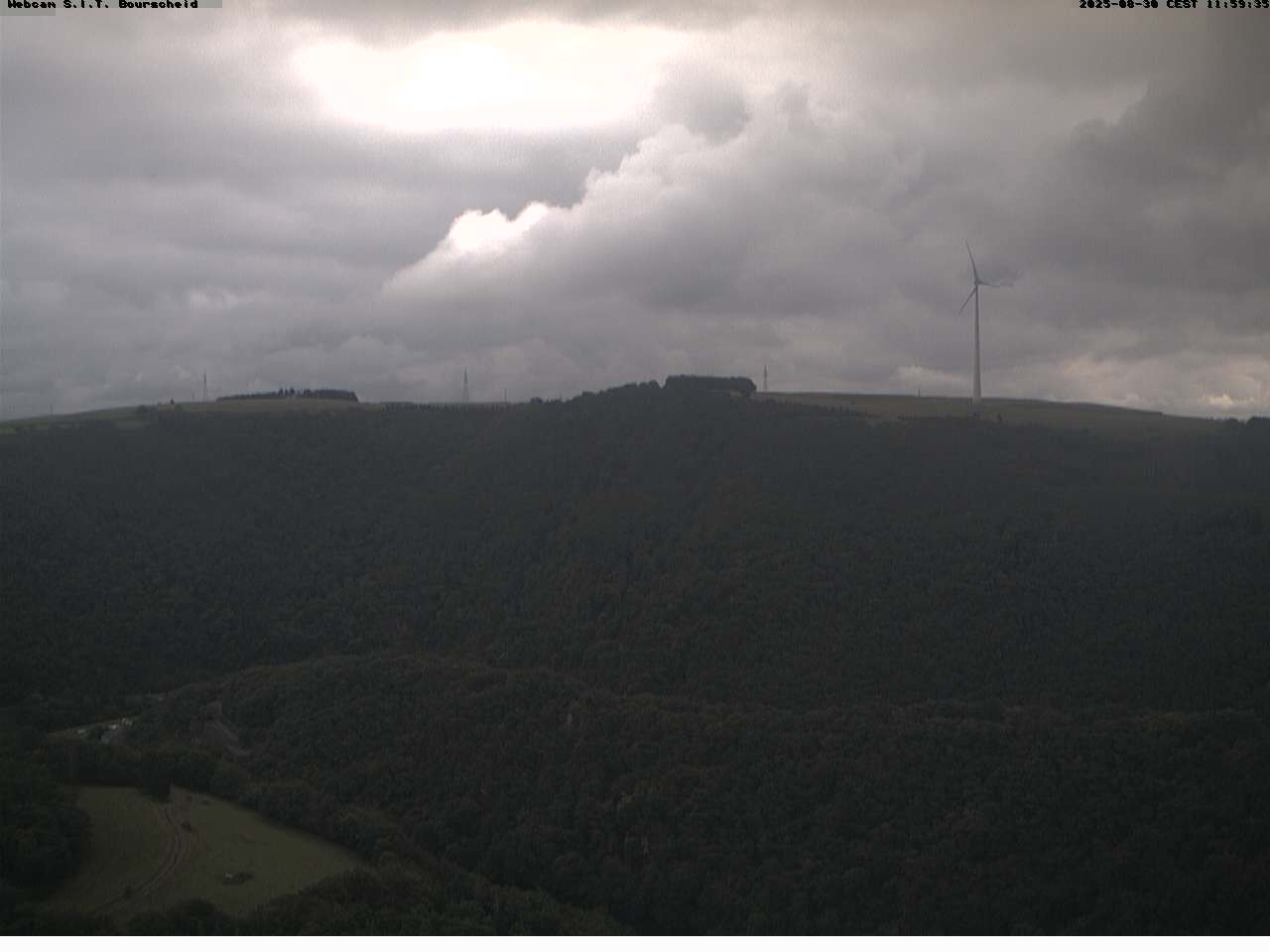 Camera Live Image