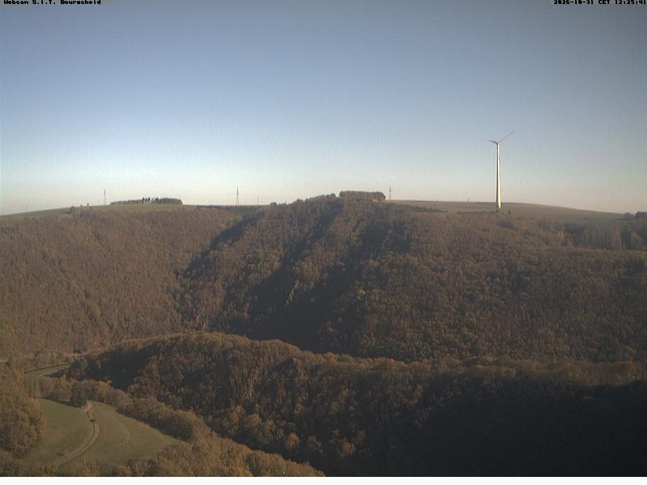Camera Live Image