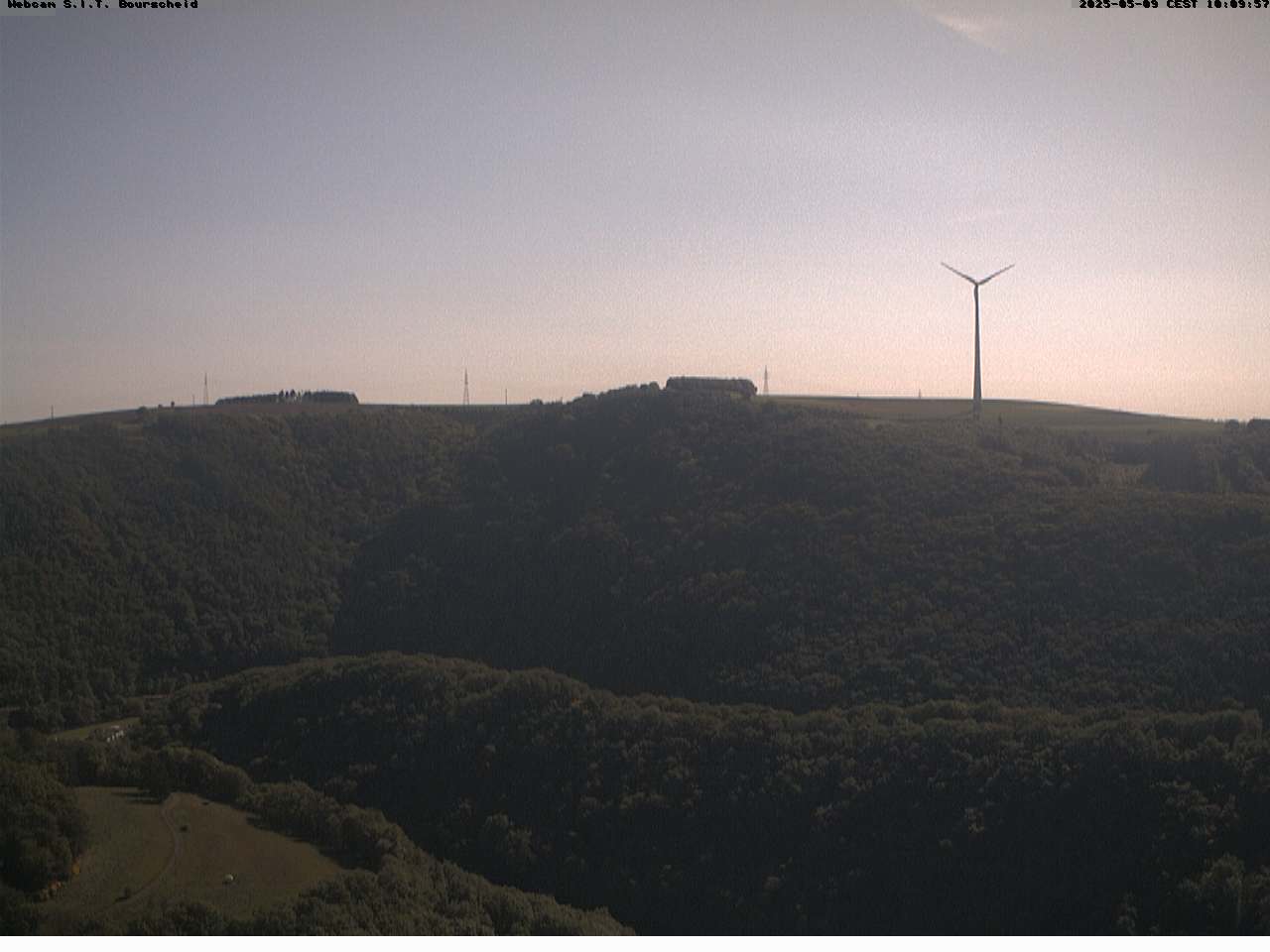 Camera Live Image